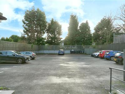 Picture 11